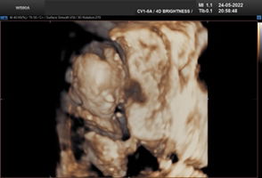 Pointtt profile icon