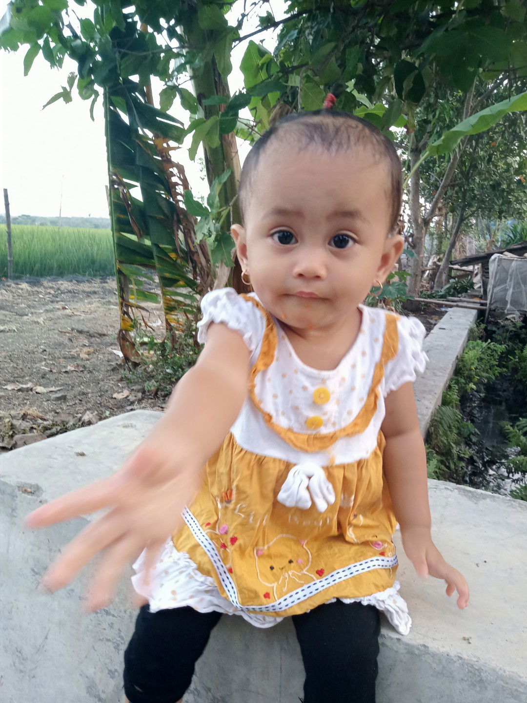 Marifatul profile icon