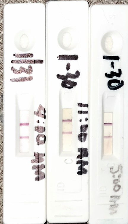 kristal profile icon