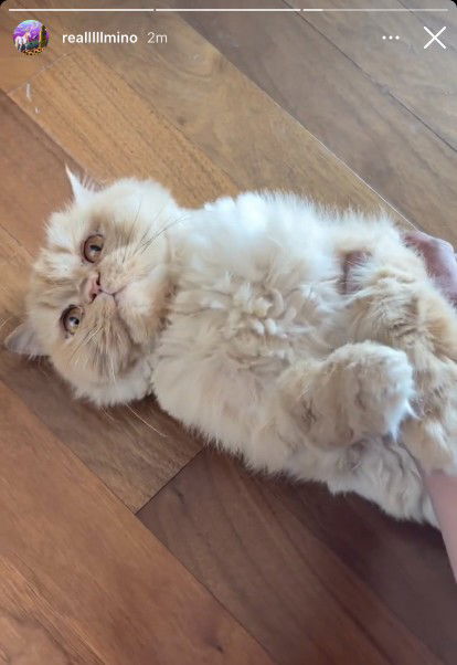 melanie profile icon