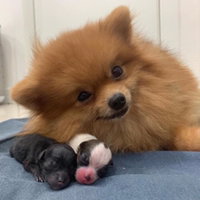 aaaaaaaaaa profile icon