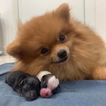 aaaaaaaaaa profile icon