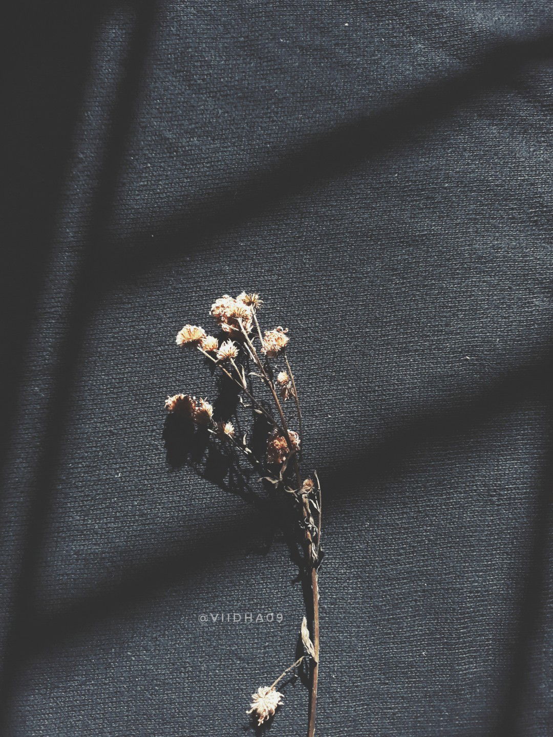 Viidha Idha profile icon