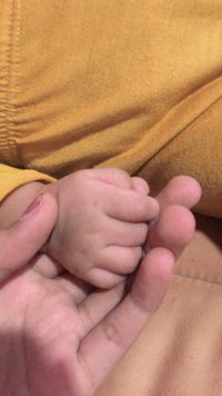 Shienta profile icon