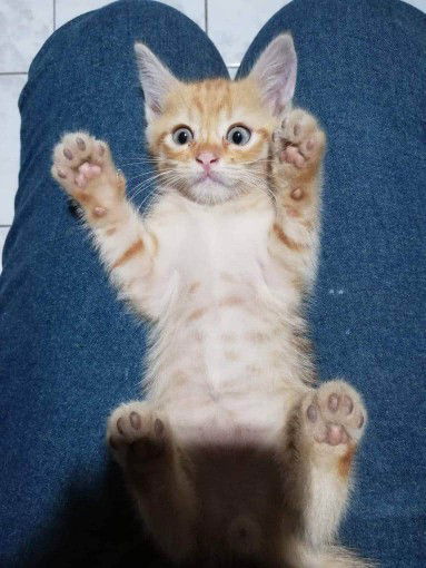 Wilawan profile icon