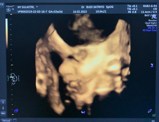 Faizin Al Faila profile icon