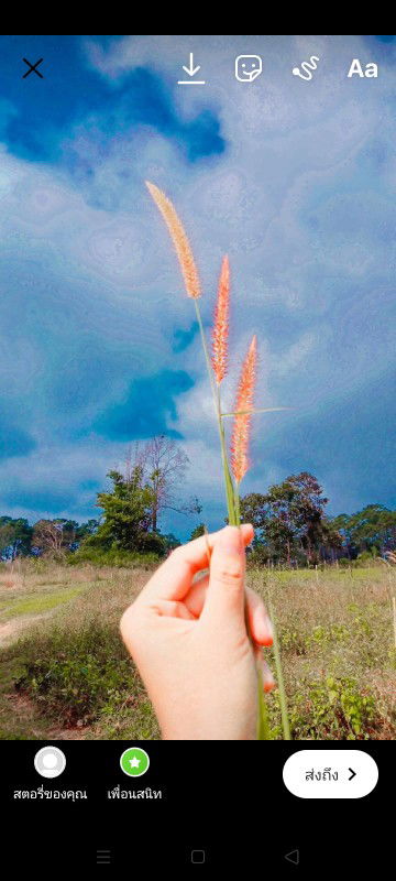 Ni nicha profile icon