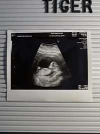 Febianita Sarah profile icon