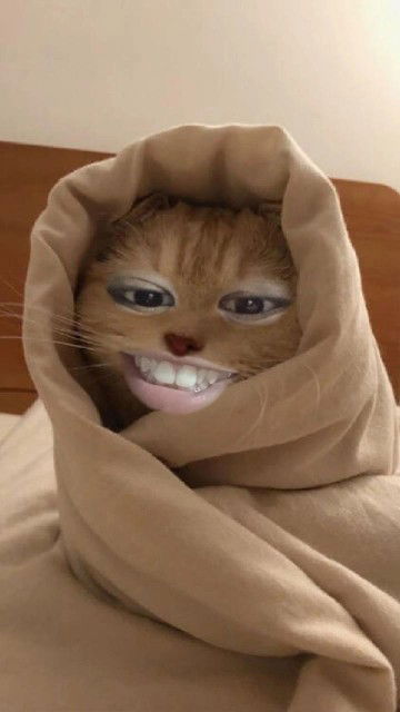 Amonrat Sukkhum profile icon