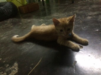 Nobita _ka profile icon