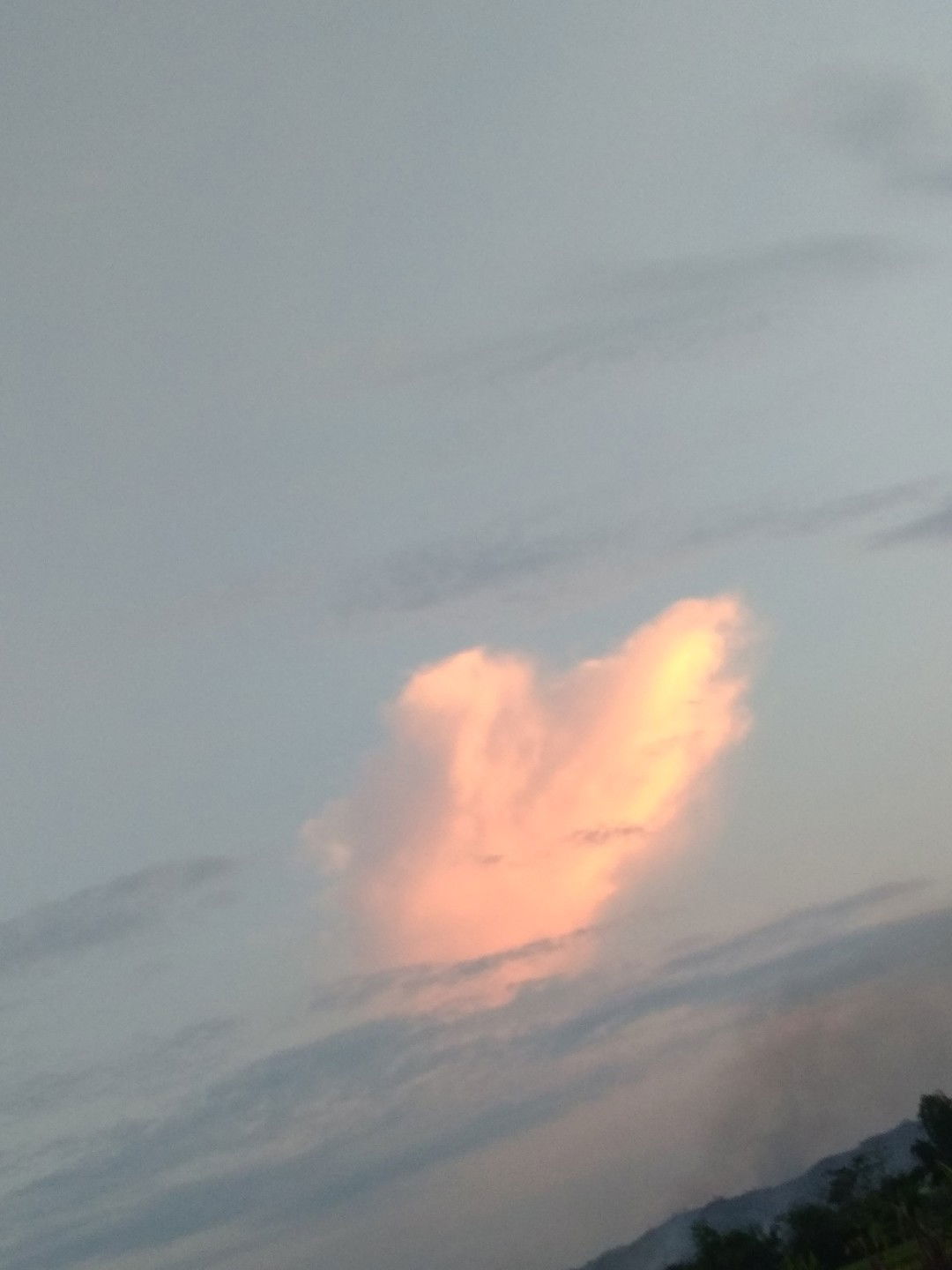 Quinn Darra profile icon