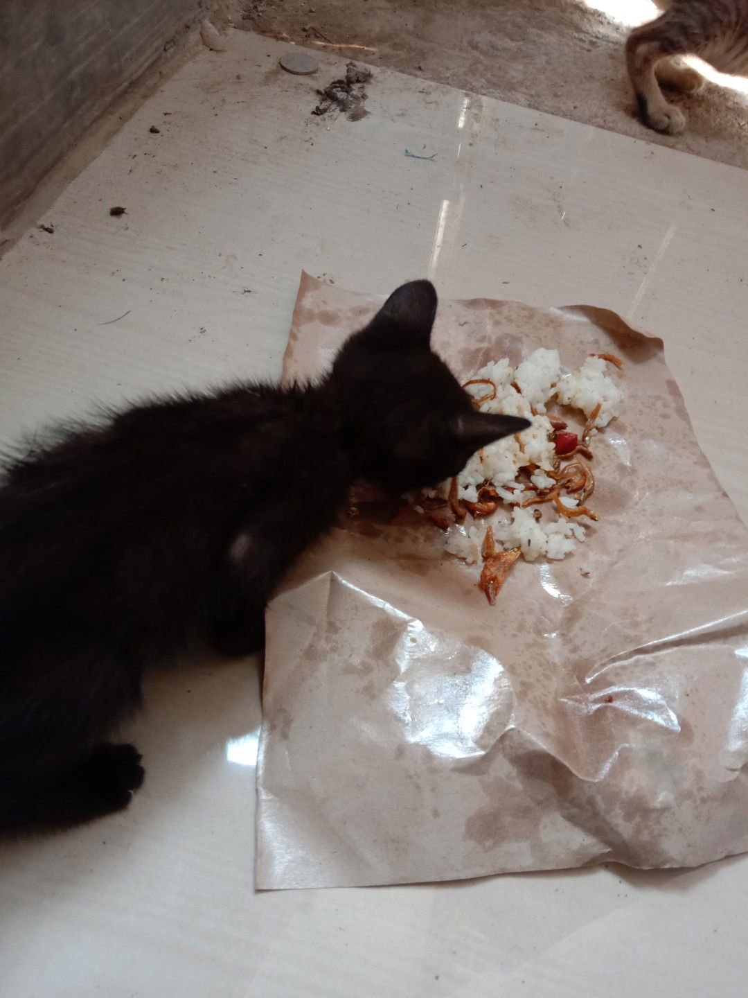 pertanyaan menyebalkan