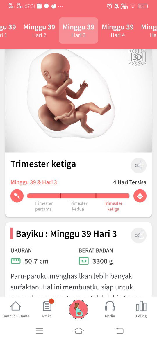 nunggu gelombang cinta