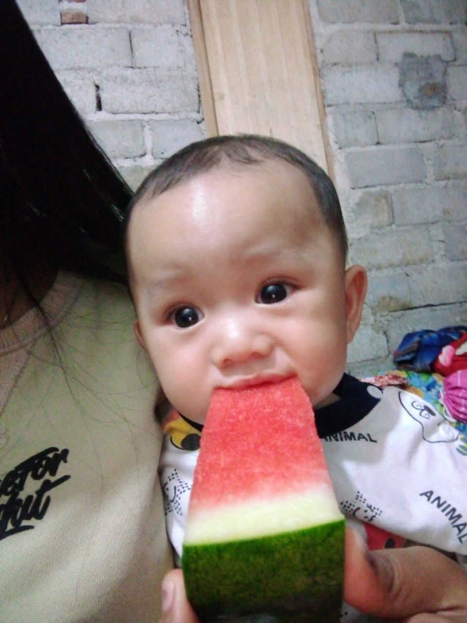 davindra ardito maaarif profile icon