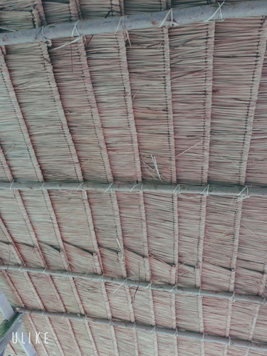 สถานที่เลี้ยงเด็ก