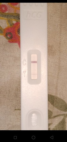 Pregnancy Test