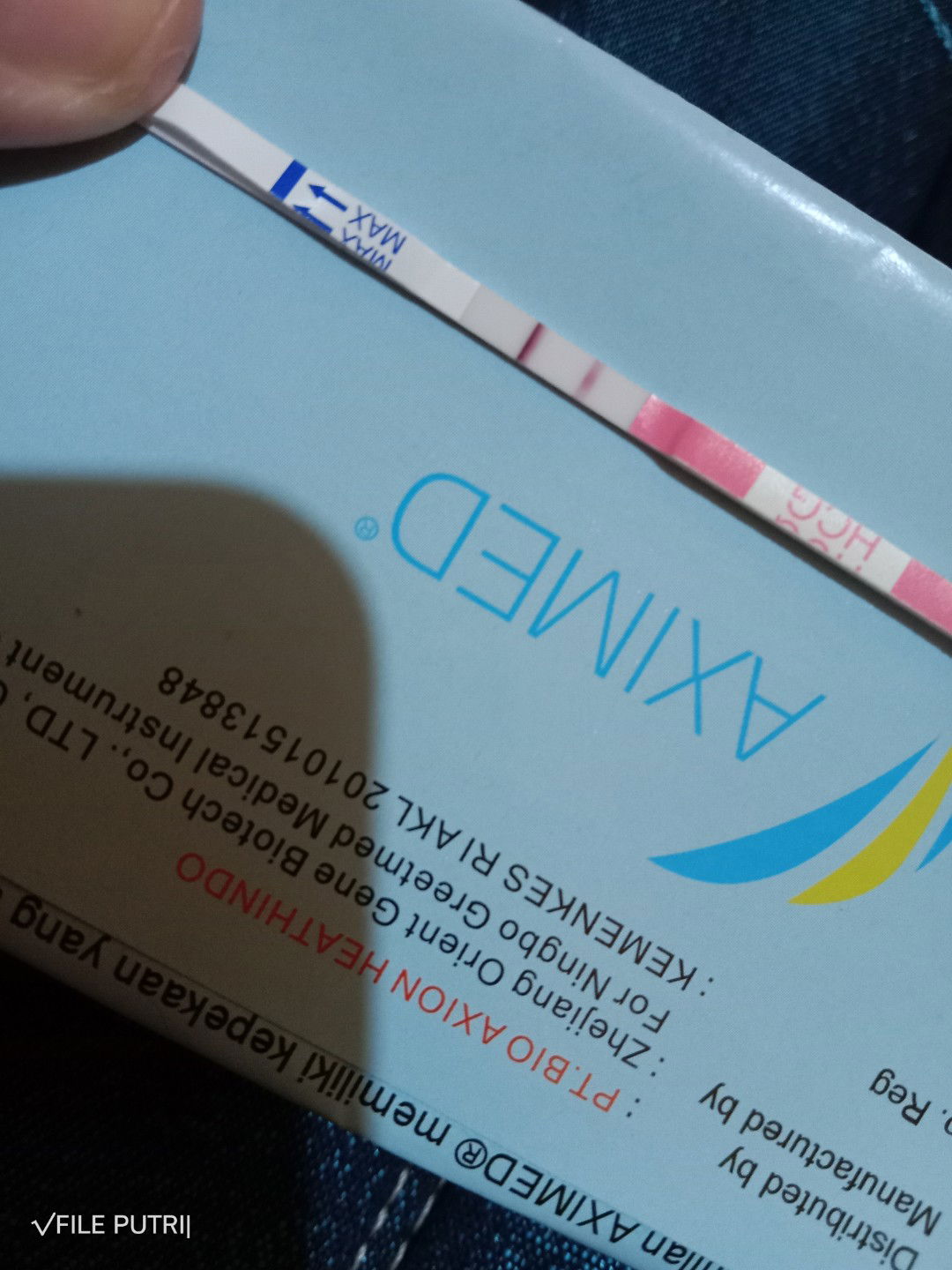 Putri Hasanah profile icon