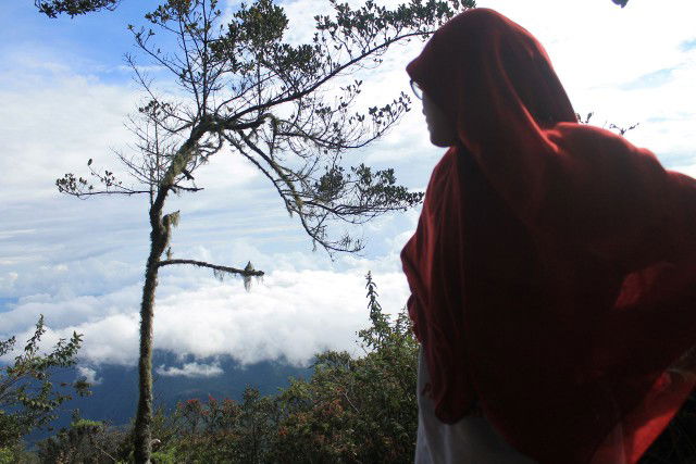 Wachyuni profile icon