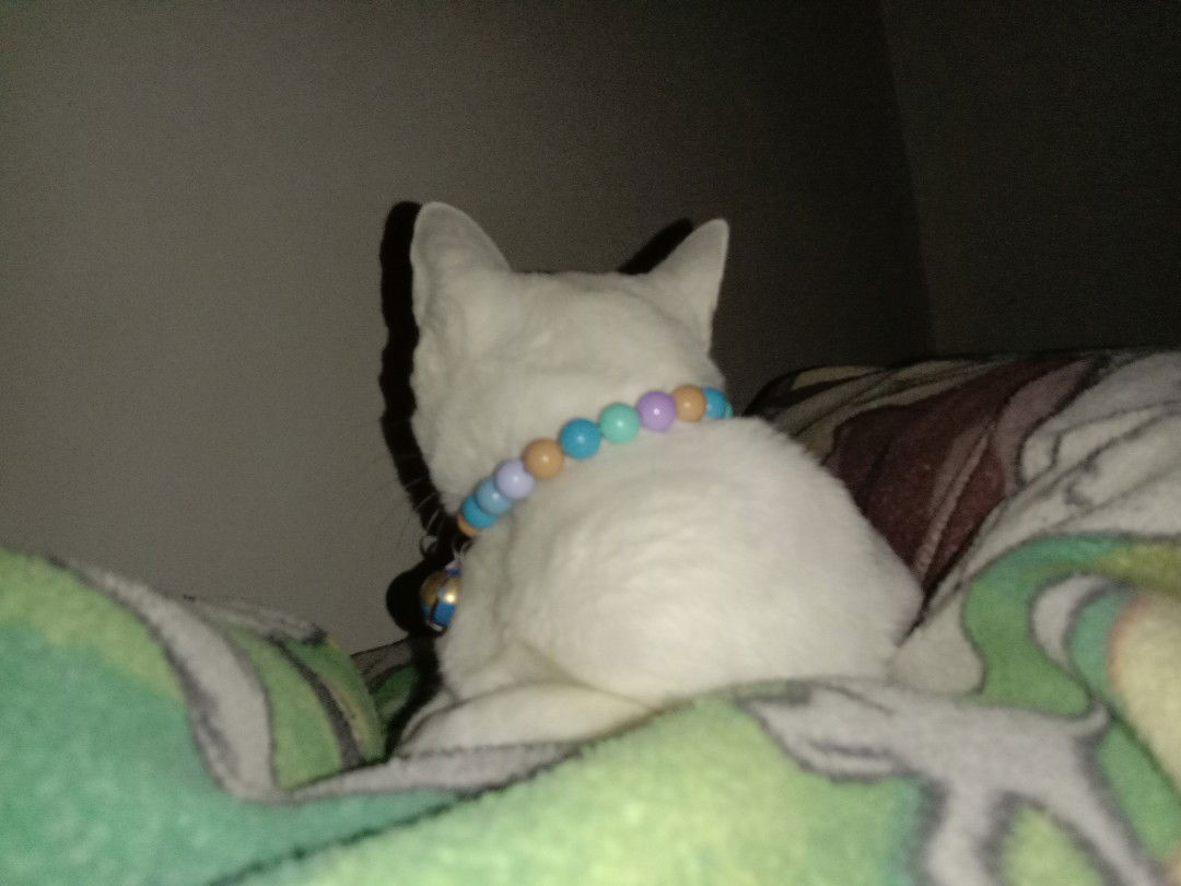 ม๊าา profile icon