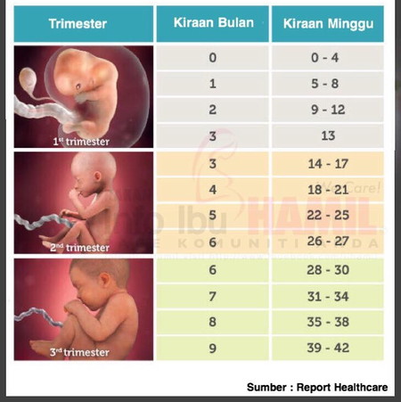 Kiraan minggu ke bulan