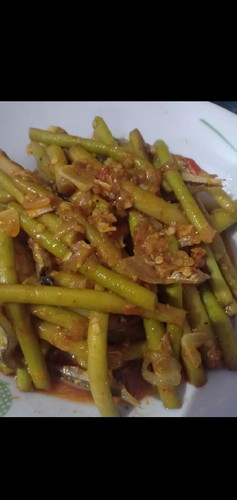 Sulur Keladi