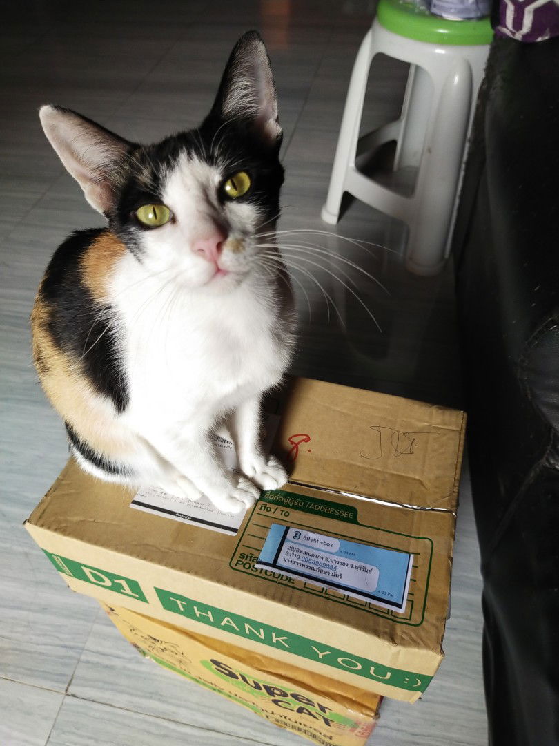 Guggig❤️ profile icon