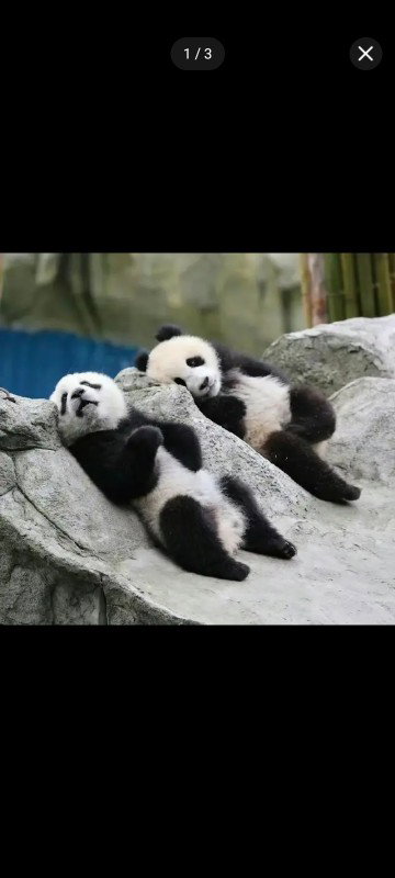 Eugene Tan profile icon