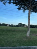 dragon fruit profile icon