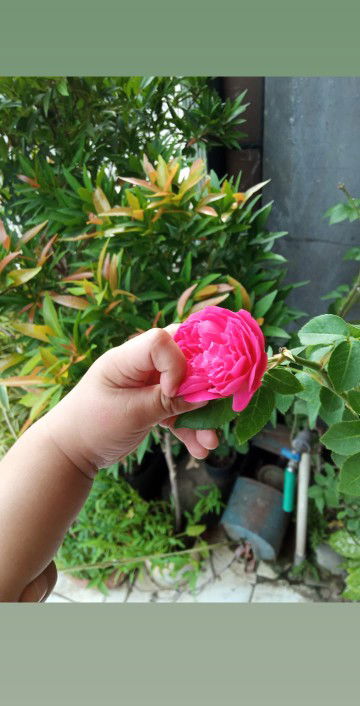 Andriani profile icon