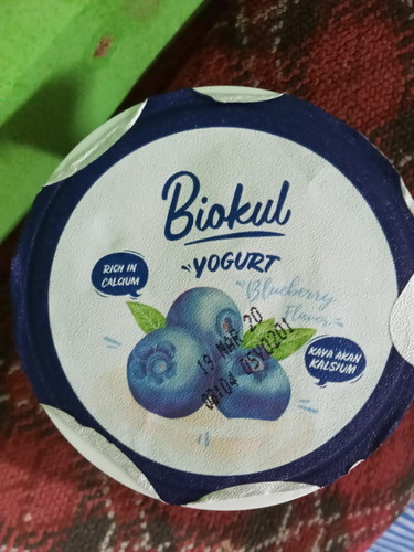 yogurt