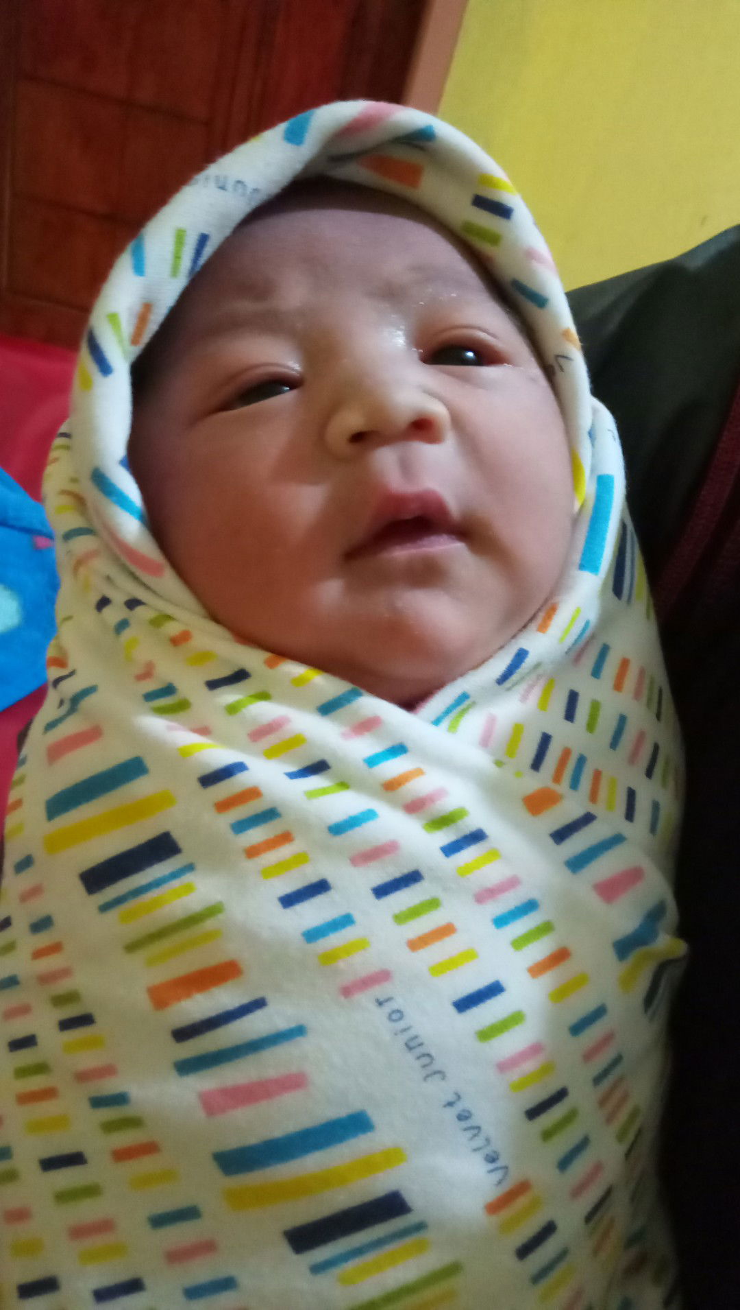 hpl 14 november 2019