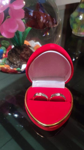 Diansuci Tripamungkas profile icon