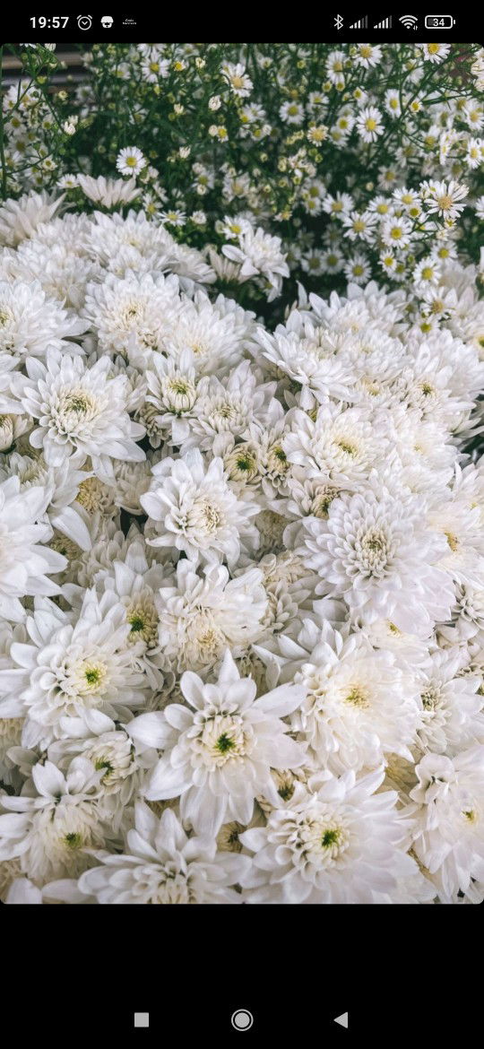 Ratih Natalia Kusuma Putri profile icon