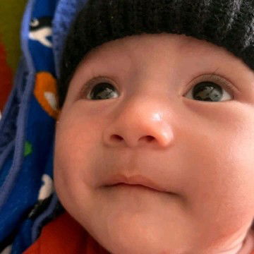 anita oktafiani susilowati profile icon