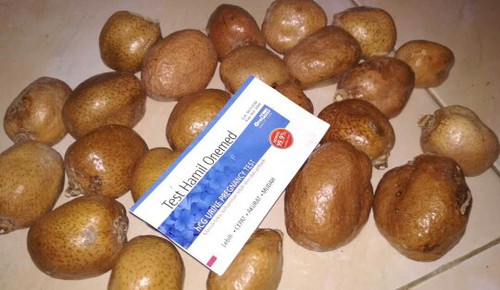 buah herbal zuriat ..