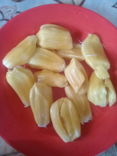 buah nangka