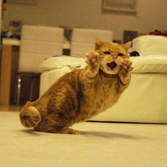 Marissa profile icon