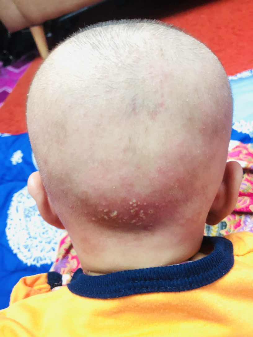 ada tak yang tahu ni biji apa ?