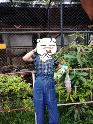 ท้องเล็ก?