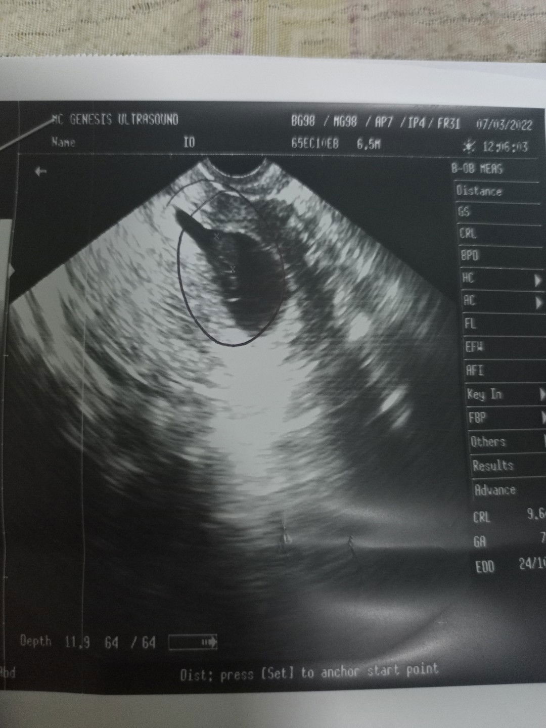 Gellyrica Teorica Dela Cruz profile icon