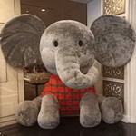 AA Mass profile icon