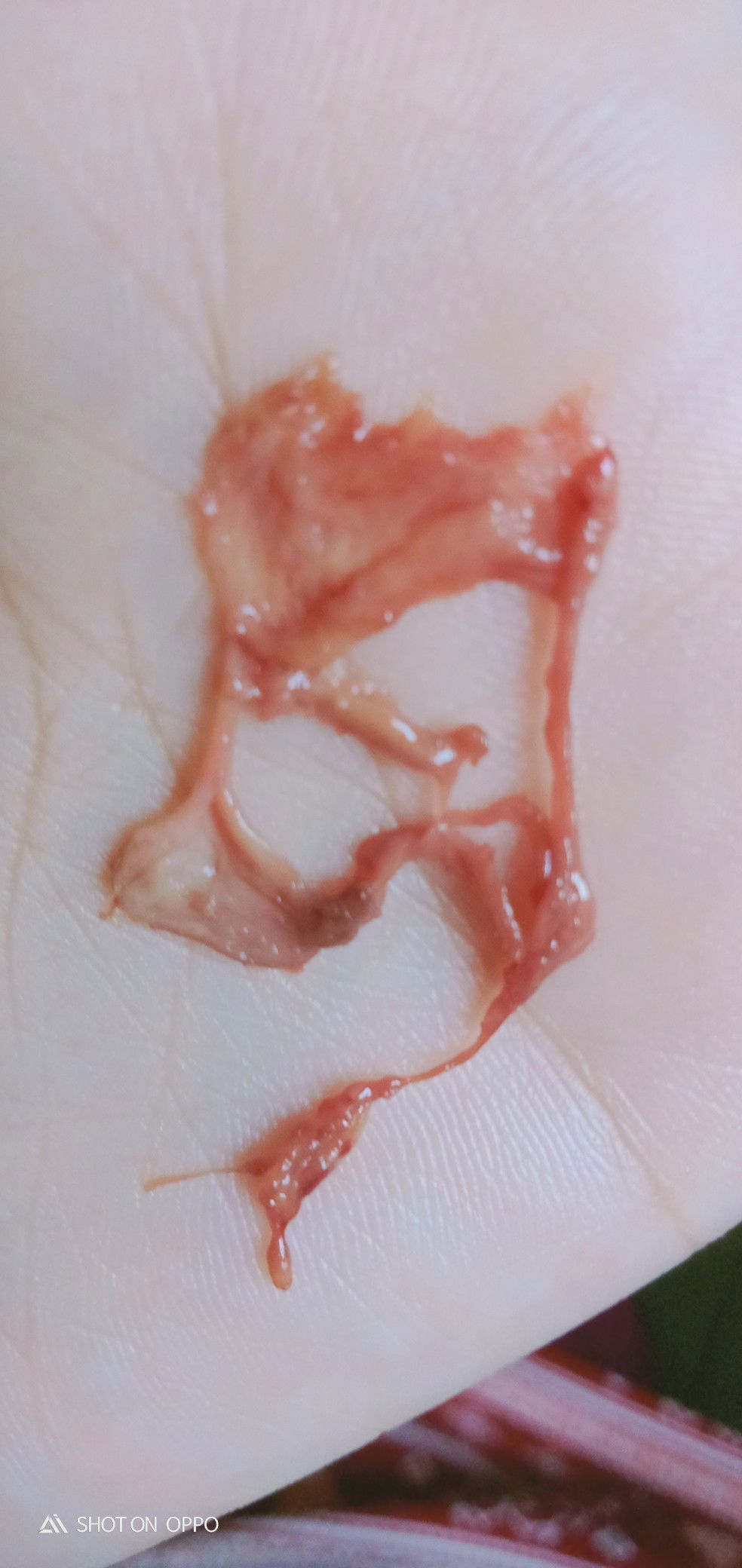 nifas sudah lebih 50 hari