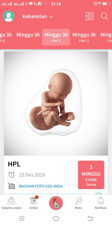 menanti kelahiran baby boy