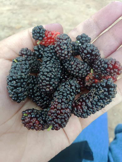 Riri Ar profile icon