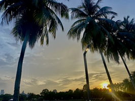 Nur Izzati profile icon