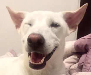 karamel kara profile icon