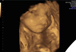 แนน ภาวิดา profile icon