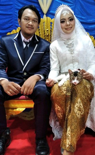 Unggul Sriwijayanti profile icon