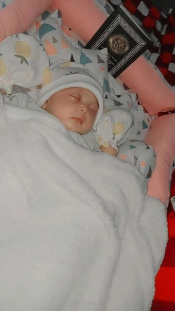 Evy ALvian profile icon