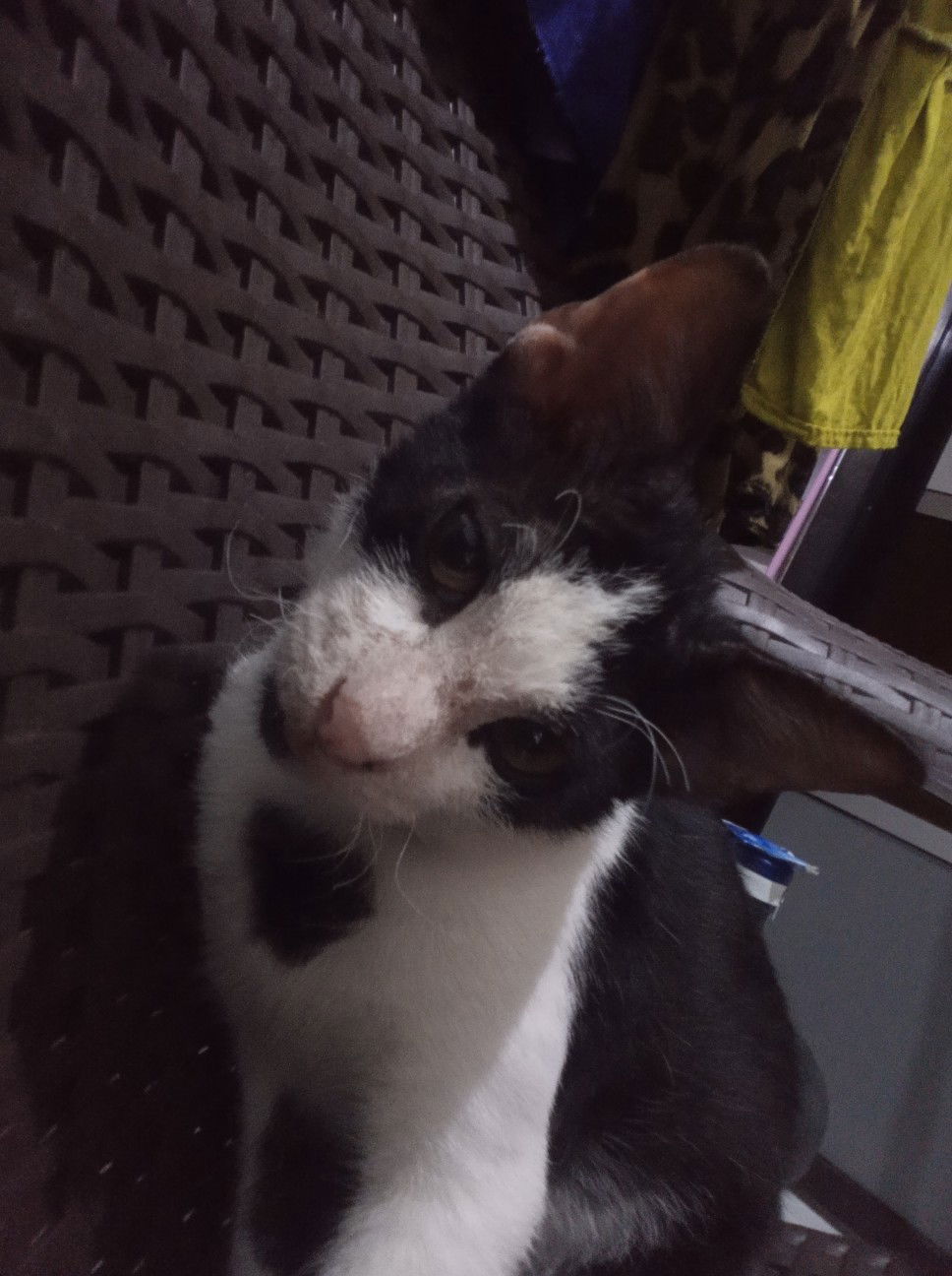 Marina Yulia profile icon